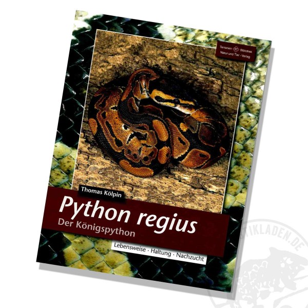 Python regius Der Königspython