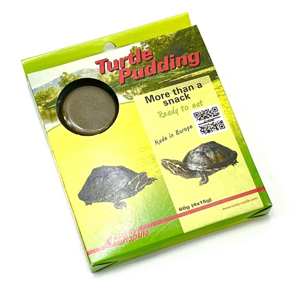 Turtle Pudding