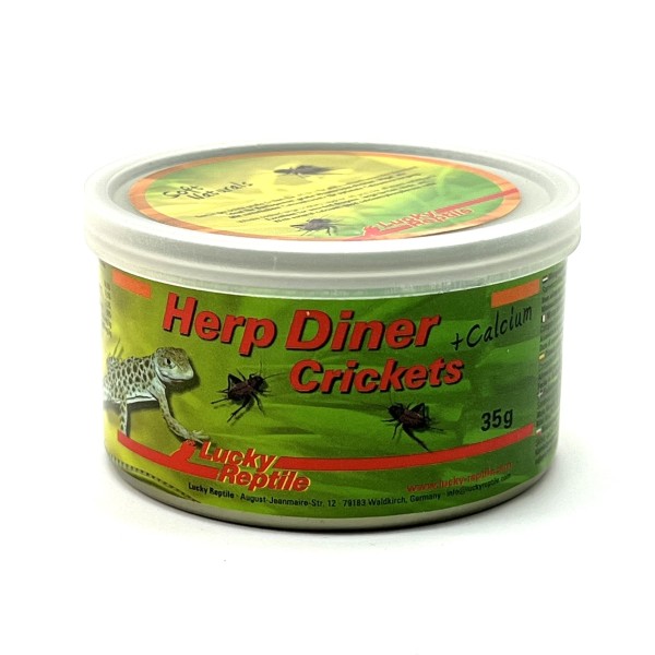 Herp Diner Crickets + Calcium