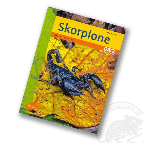 Skorpione im Terrarium