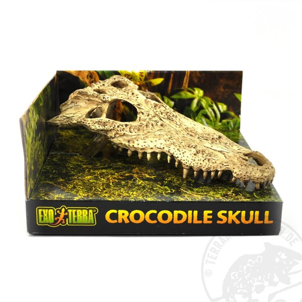 Exo Terra Crocodile Skull