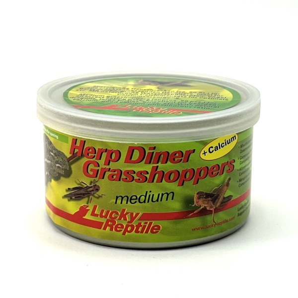 Herp Diner Grasshoppers + Calcium